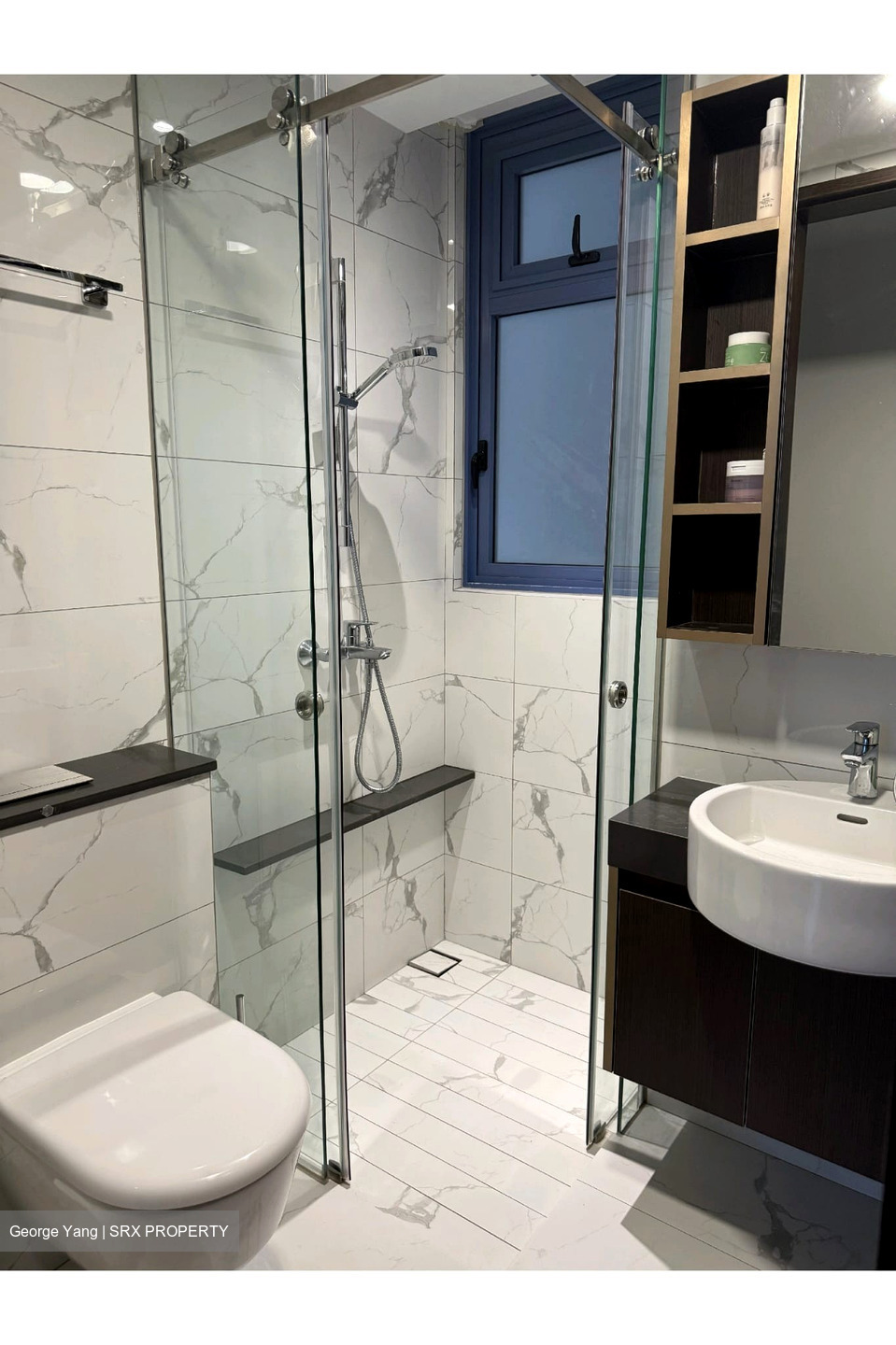 Wilshire Residences (D10), Apartment #537921281